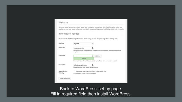 Back to WordPress’ set up page.
Fill in required ﬁeld then install WordPress.
