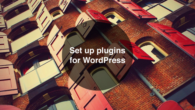 Set up plugins
for WordPress
