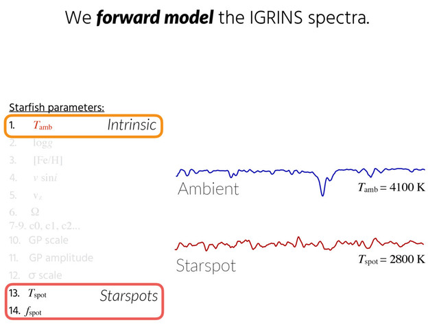 We forward  model the IGRINS spectra.
Starfish parameters:
1. Tamb
2. logg
3. [Fe/H]
4. v sini
5. vz
6. Ω
7-9. c0, c1, c2...
10. GP scale
11. GP amplitude
12. σ scale
13. Tspot
14. fspot
Intrinsic
Starspots
Tspot = 2800 K
Tamb = 4100 K
Ambient
Starspot
