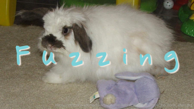 F u z z i n g
https://commons.wikimedia.org/wiki/File:Rabbit_american_fuzzy_lop_buck_white.jpg
