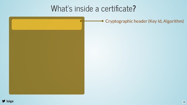 What's inside a certiﬁcate?
loige
Cryptographic header (Key Id, Algorithm)
13
