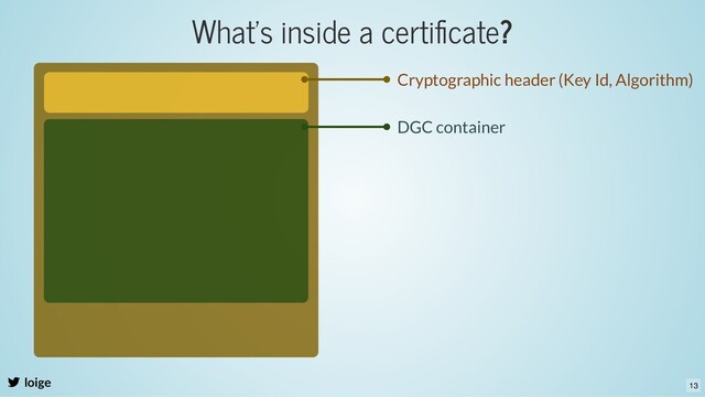 What's inside a certiﬁcate?
loige
DGC container
Cryptographic header (Key Id, Algorithm)
13

