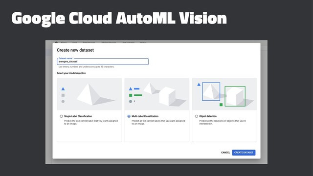 Google Cloud AutoML Vision
