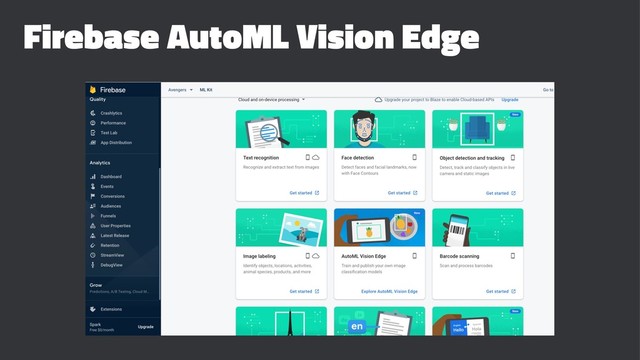 Firebase AutoML Vision Edge
