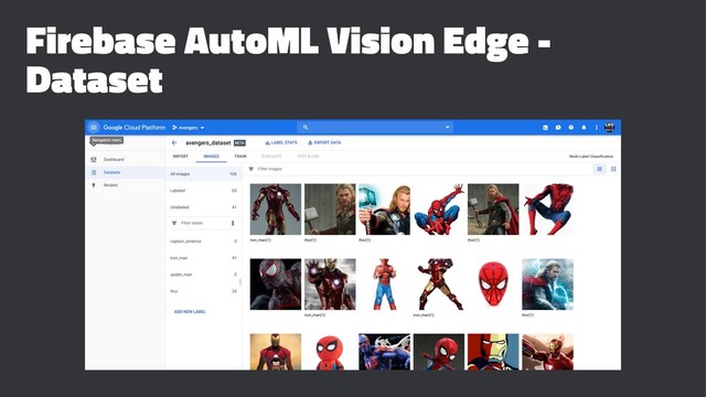 Firebase AutoML Vision Edge -
Dataset
