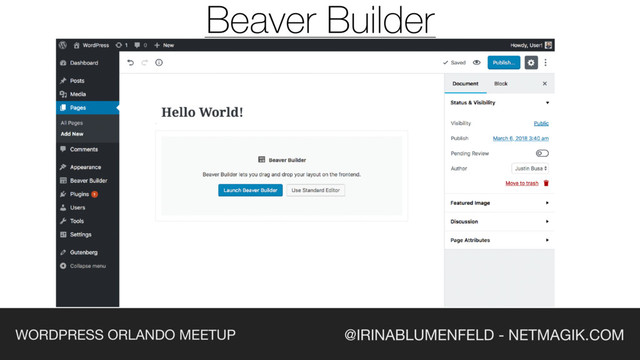 @IRINABLUMENFELD - NETMAGIK.COM
WORDPRESS ORLANDO MEETUP
Beaver Builder
