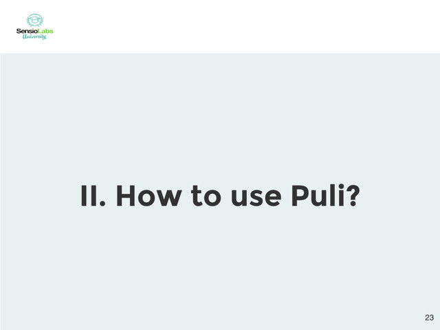 II. How to use Puli?
