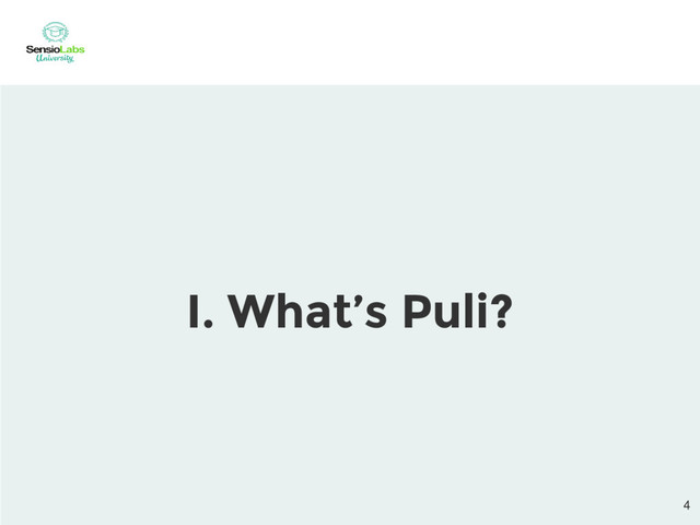 I. What’s Puli?

