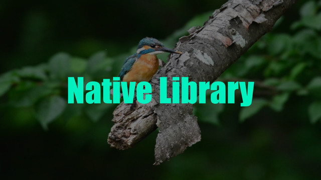 Native Library
