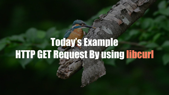 Today’s Example
HTTP GET Request By using libcurl
