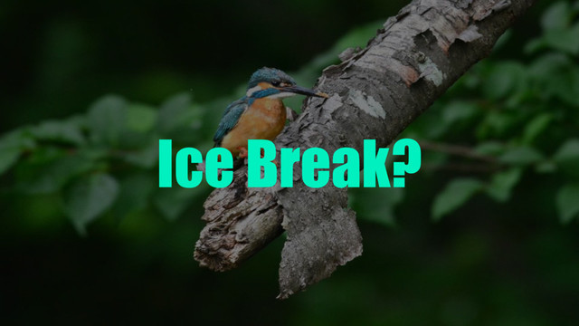 Ice Break?

