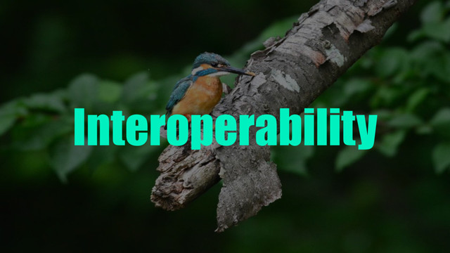Interoperability
