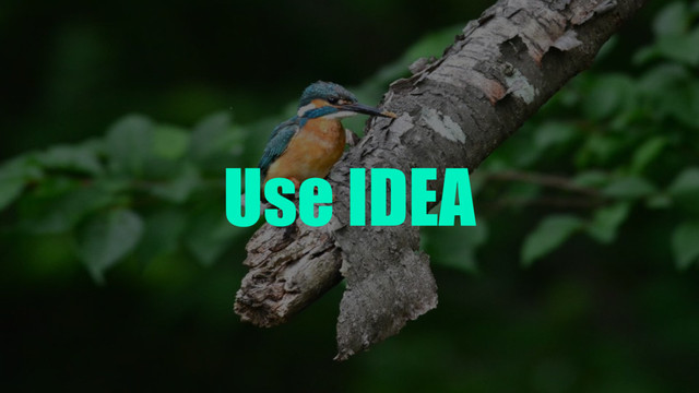 Use IDEA
