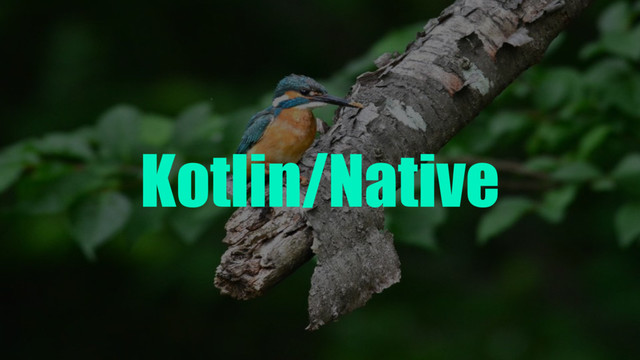Kotlin/Native
