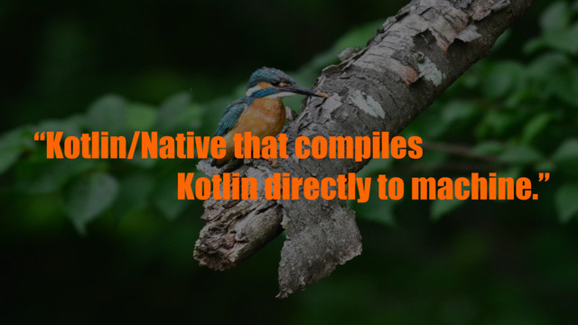 “Kotlin/Native that compiles
Kotlin directly to machine.”
