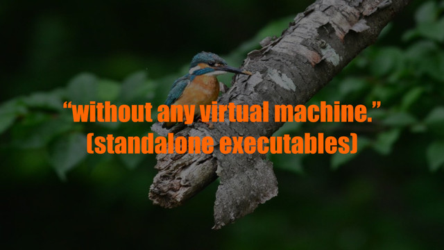 “without any virtual machine.”
(standalone executables)
