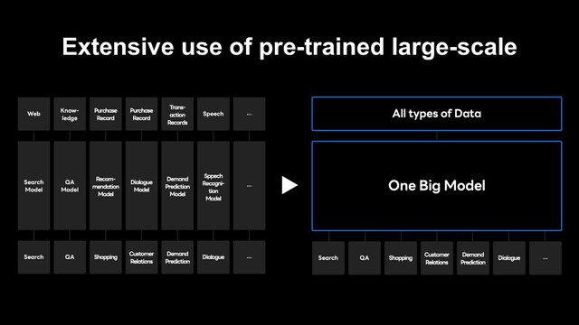 Extensive use of pre-trained large-scale
