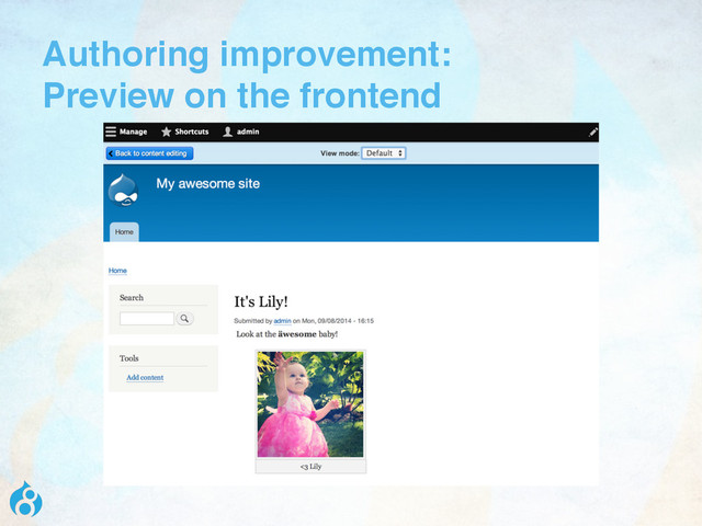 Authoring improvement: 
Preview on the frontend

