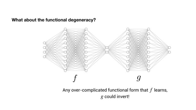 What about the functional degeneracy?
Any over-complicated functional form that learns,
could invert!
f
g
