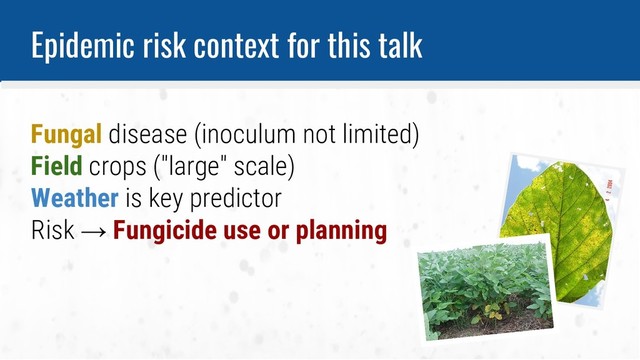 Epidemic risk context for this talk
Fungal disease (inoculum not limited)
Field crops ("large" scale)
Weather is key predictor
Risk → Fungicide use or planning
