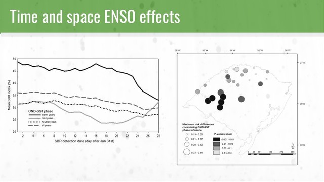 Time and space ENSO effects
