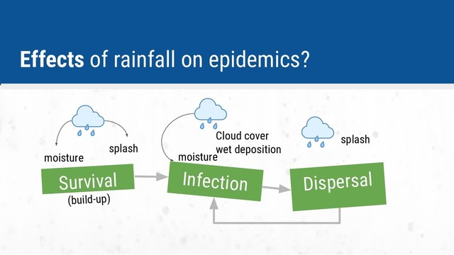 Dispersal
Infection
Cloud cover
wet deposition
Survival
(build-up)
moisture
splash
moisture
splash
Effects of rainfall on epidemics?
