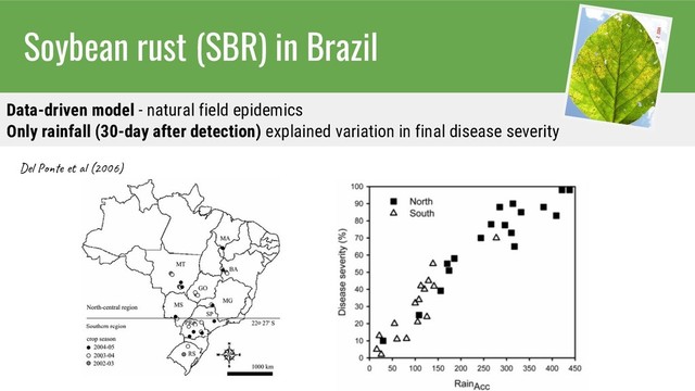 Soybean rust (SBR) in Brazil
Data-driven model - natural field epidemics
Only rainfall (30-day after detection) explained variation in final disease severity
Del et (2006)
