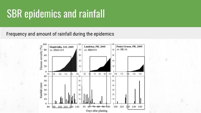 SBR epidemics and rainfall
Frequency and amount of rainfall during the epidemics
