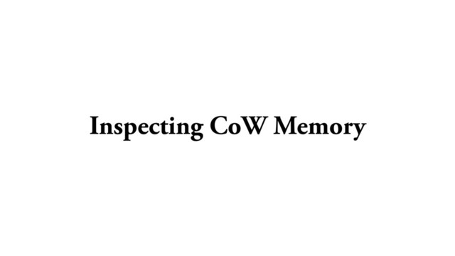 Inspecting CoW Memory
