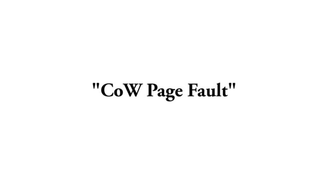 "CoW Page Fault"
