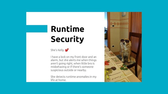 She’s Kelly. 
I have a lock on my front door and an
alarm, but she alerts me when things
aren’t going right, when little bro is
misbehaving or if there’s someone
suspicious outside or nearby.
She detects runtime anomalies in my
life at home.
Runtime
Security
