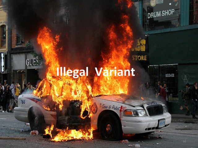 Illegal	  	  Variant	  	  
66	  
