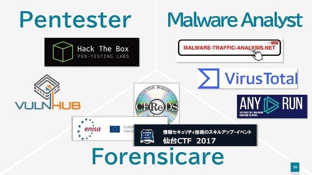 30
Malware Analyst
Pentester
Forensicare
