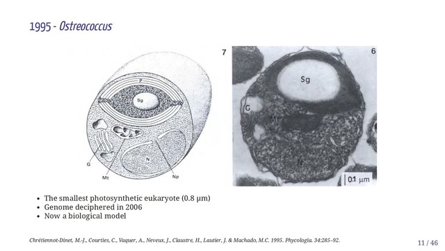 1995 - Ostreococcus
The smallest photosynthetic eukaryote (0.8 µm)
Genome deciphered in 2006
Now a biological model
Chrétiennot-Dinet, M.-J., Courties, C., Vaquer, A., Neveux, J., Claustre, H., Lautier, J. & Machado, M.C. 1995. Phycologia. 34:285–92. 11 / 46
