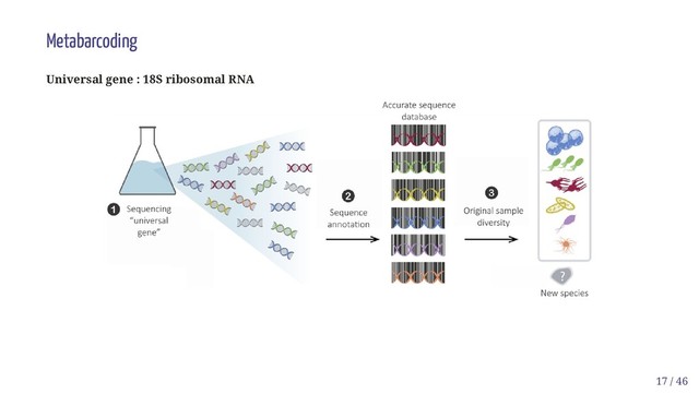 Metabarcoding
Universal gene : 18S ribosomal RNA
17 / 46
