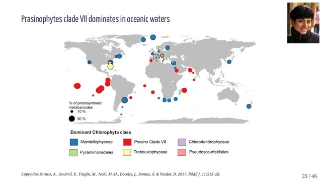 Prasinophytes clade VII dominates in oceanic waters
Lopes dos Santos, A., Gourvil, P., Tragin, M., Noël, M.-H., Decelle, J., Romac, S. & Vaulot, D. 2017. ISME J. 11:512–28. 25 / 46
