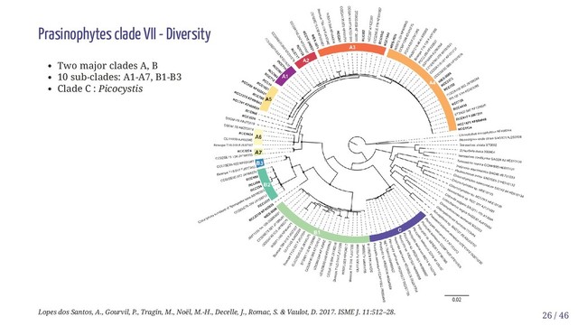 Prasinophytes clade VII - Diversity
Two major clades A, B
10 sub-clades: A1-A7, B1-B3
Clade C : Picocystis
Lopes dos Santos, A., Gourvil, P., Tragin, M., Noël, M.-H., Decelle, J., Romac, S. & Vaulot, D. 2017. ISME J. 11:512–28. 26 / 46
