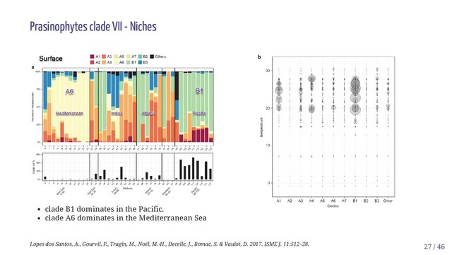 clade B1 dominates in the Pacific.
clade A6 dominates in the Mediterranean Sea
Prasinophytes clade VII - Niches
Lopes dos Santos, A., Gourvil, P., Tragin, M., Noël, M.-H., Decelle, J., Romac, S. & Vaulot, D. 2017. ISME J. 11:512–28. 27 / 46
