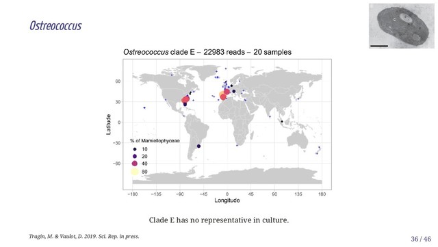 Ostreococcus
Clade E has no representative in culture.
Tragin, M. & Vaulot, D. 2019. Sci. Rep. in press. 36 / 46
