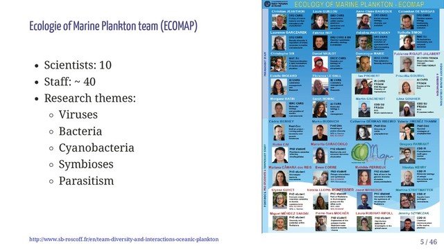 Scientists: 10
Staff: ~ 40
Research themes:
Viruses
Bacteria
Cyanobacteria
Symbioses
Parasitism
Ecologie of Marine Plankton team (ECOMAP)
http://www.sb-roscoff.fr/en/team-diversity-and-interactions-oceanic-plankton 5 / 46
