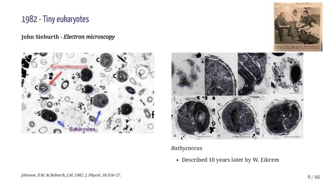 Bathycoccus
Described 10 years later by W. Eikrem
1982 - Tiny eukaryotes
John Sieburth - Electron microscopy
Electron microscopy
Johnson, P.W. & Sieburth, J.M. 1982. J. Phycol. 18:318–27. 9 / 46

