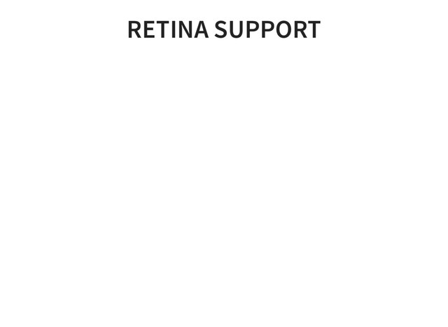 RETINA SUPPORT
