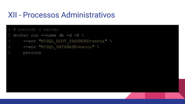 XII - Processos Administrativos
1 # subindo o server
2 docker run --name db -d -P \
3 --env "MYSQL_ROOT_PASSWORD=senha" \
4 --env "MYSQL_DATABASE=banco" \
5 percona
