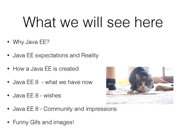 What we will see here
• Why Java EE?
• Java EE expectations and Reality
• How a Java EE is created
• Java EE 8 - what we have now
• Java EE 8 - wishes
• Java EE 8 - Community and impressions
• Funny Gifs and images!
