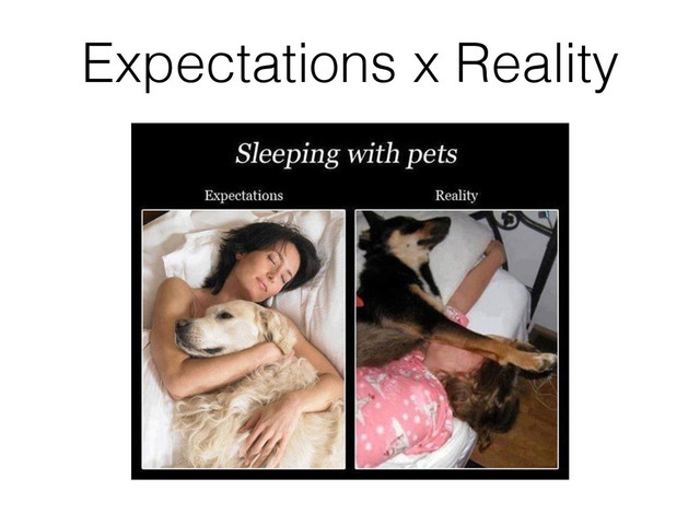 Expectations x Reality
