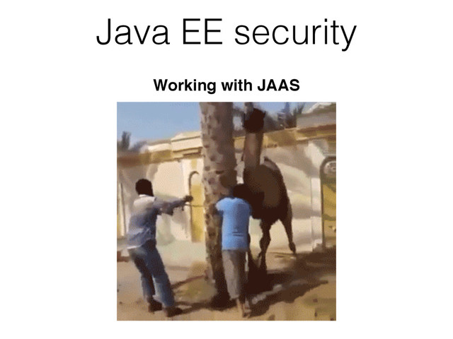 Java EE security
Working with JAAS

