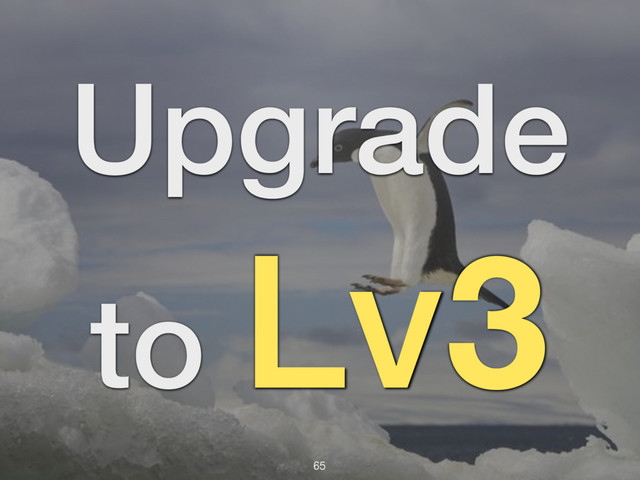 65
Upgrade
to Lv3

