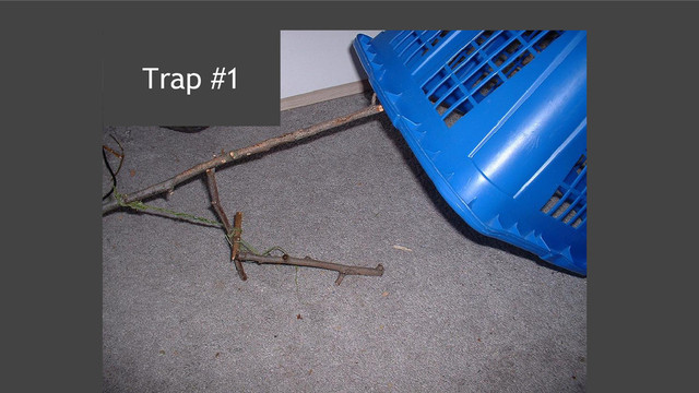 Trap #1
