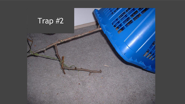 Trap #2
