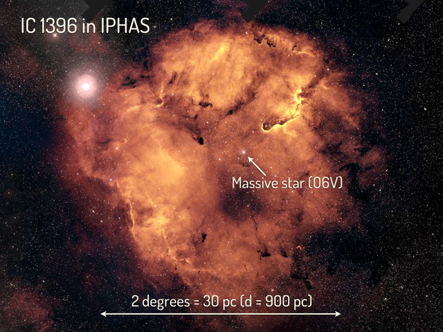 2 degrees = 30 pc (d = 900 pc)
IC 1396 in IPHAS
Massive star (O6V)
